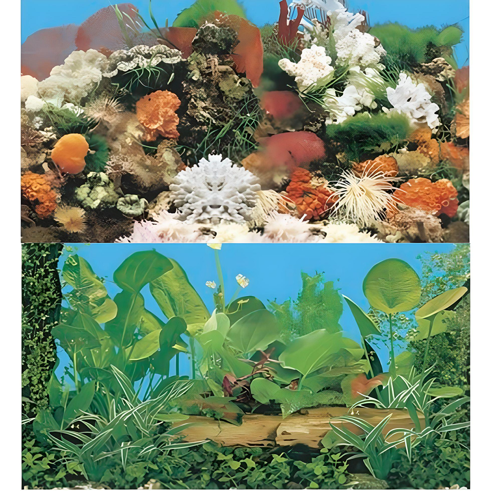 Boyu Aquarium Fish Tank Background Double Side Poster 15.7"(40cm)*3ft/4ft/5ft/6ft