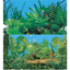 Boyu Aquarium Fish Tank Background Double Side Poster 15.7"(40cm)*3ft/4ft/5ft/6ft
