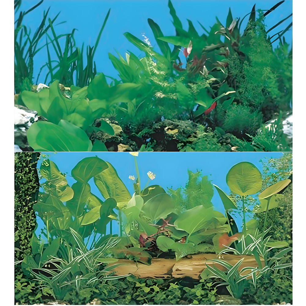 Boyu Aquarium Fish Tank Background Double Side Poster 15.7"(40cm)*3ft/4ft/5ft/6ft