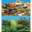 Boyu Aquarium Fish Tank Background Double Side Poster 15.7"(40cm)*3ft/4ft/5ft/6ft