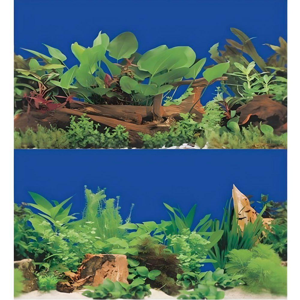 Boyu Aquarium Fish Tank Background Double Side Poster 15.7"(40cm)*3ft/4ft/5ft/6ft