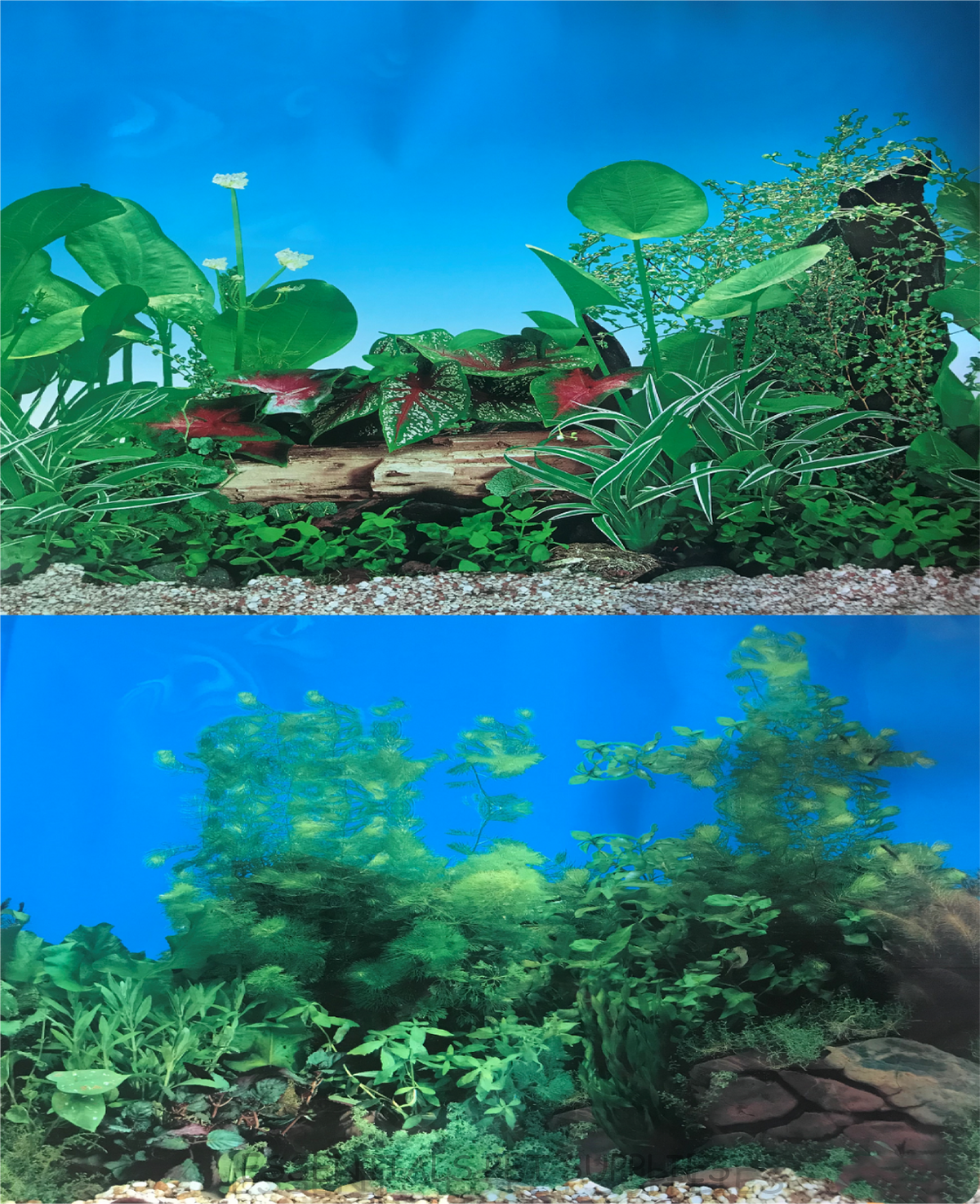 Aquarium Fish Tank Background Double Side Poster 24"(60cm)*3ft/4ft/5ft/6ft