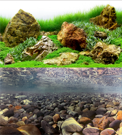 Aquarium Fish Tank Background Double Side Poster 18"(45cm)*3ft/4ft/5ft/6ft