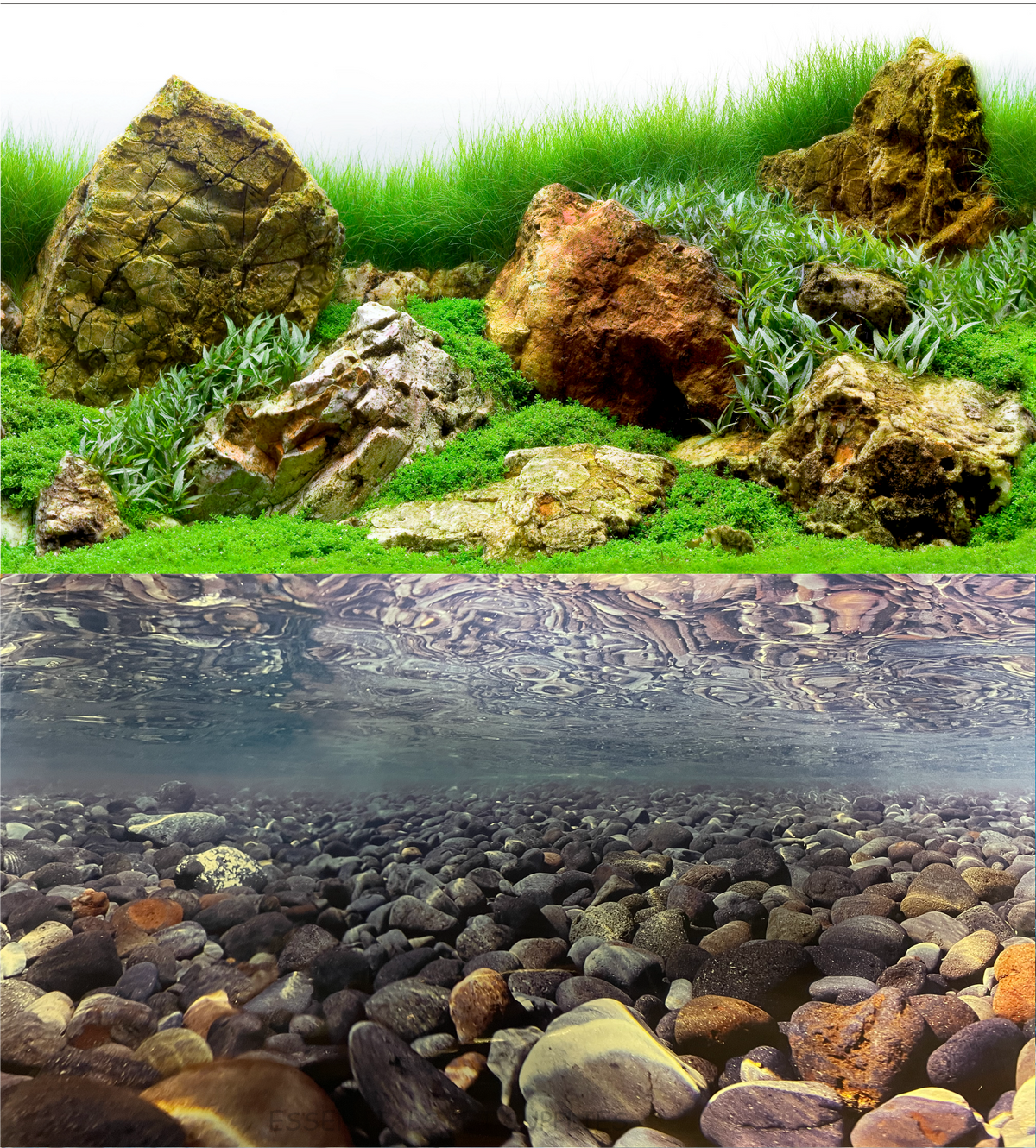 Aquarium Fish Tank Background Double Side Poster 40"(100cm)*3ft/4ft/5ft/6ft