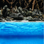 Aquarium Fish Tank Background Double Side Poster 40"(100cm)*3ft/4ft/5ft/6ft