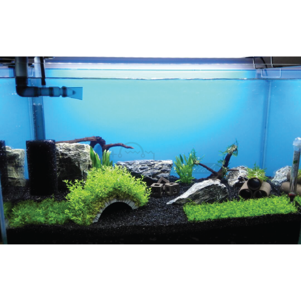 500G-4.8Kg Diamond Black Aquarium Gravel 2-3Mm GravelOzMarket Essentials | Pet Supplies | 