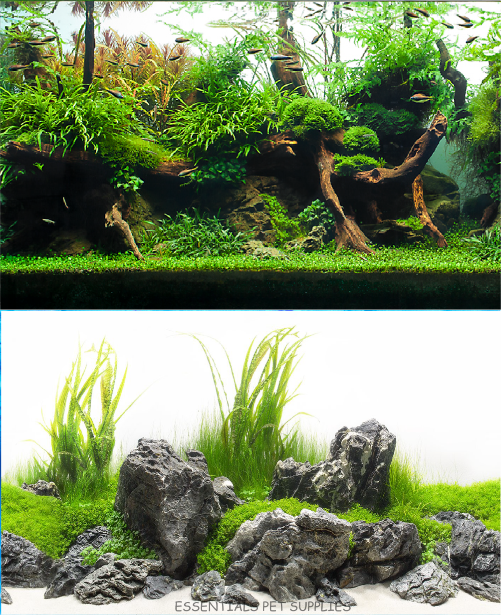 Aquarium Fish Tank Background Double Side Poster 24"(60cm)*3ft/4ft/5ft/6ft