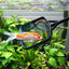 SUNSUN 4pcs fish nets square with long handle aquarium fish tank