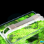 SUNSUN HEK-380 23L Brand New Open top Aquarium Fish Tank Complete Set