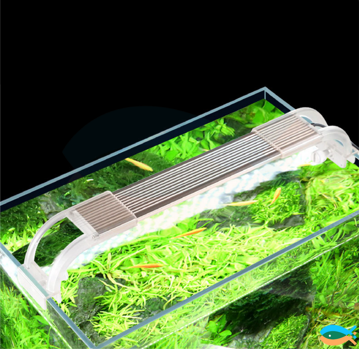 SUNSUN HEK-380 23L Brand New Open top Aquarium Fish Tank Complete Set